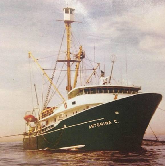 Meet your Posher, Joseph - Picture 1 of 1